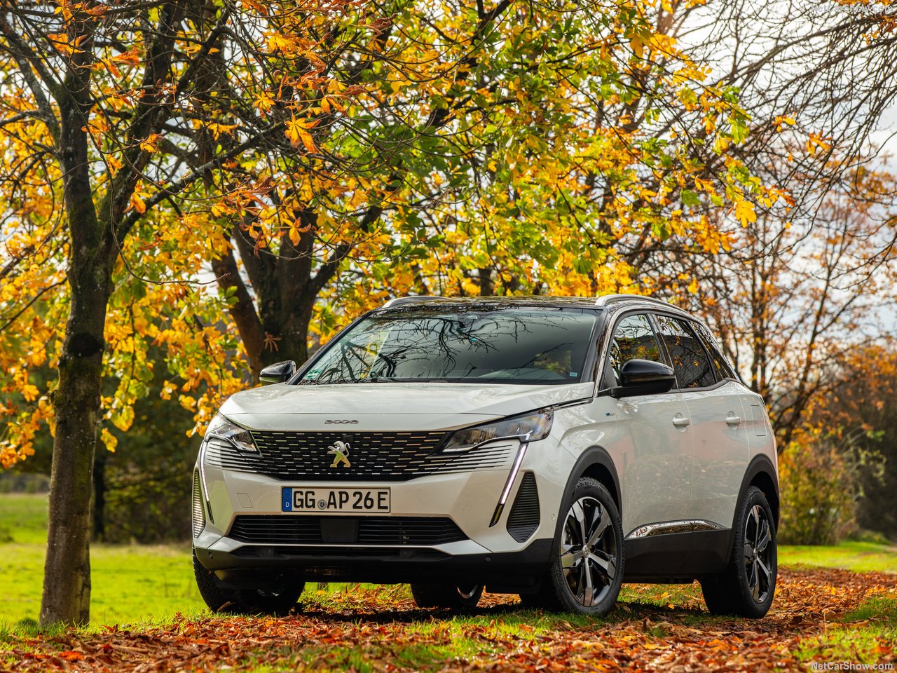 Peugeot Concept 6 and Concept 8 Unveiled in Beijing