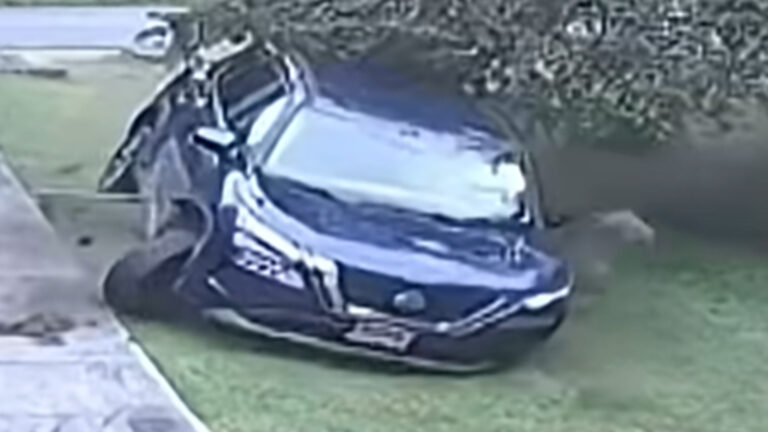 Nine Cars Crash Into Maryland Woman’s Yard in Two Years