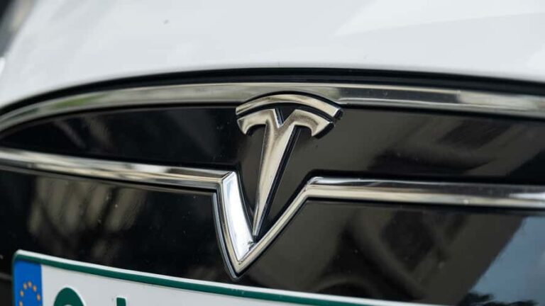 Survey Finds Musk Hurts Tesla More Than BYD’s China Ties